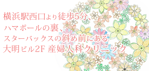 中野レディースクリニック-横浜駅西口より徒歩５分 ハマボールの裏、スターバックスの斜め前にある 大明ビル２F　産婦人科クリニック